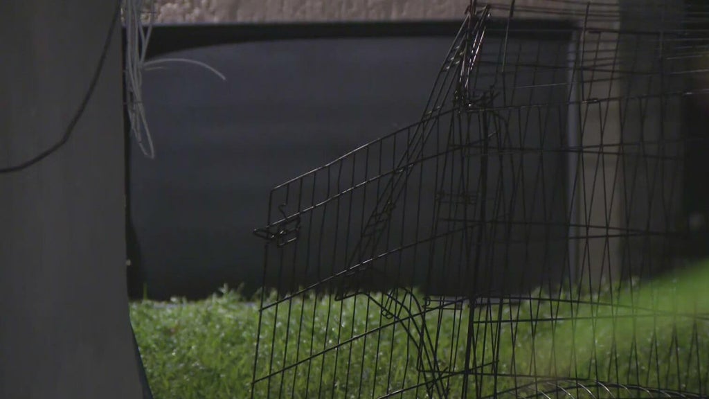 911 call captures frantic report of dog chasing, biting children in Miami — CBS Miami, Riverview Health news