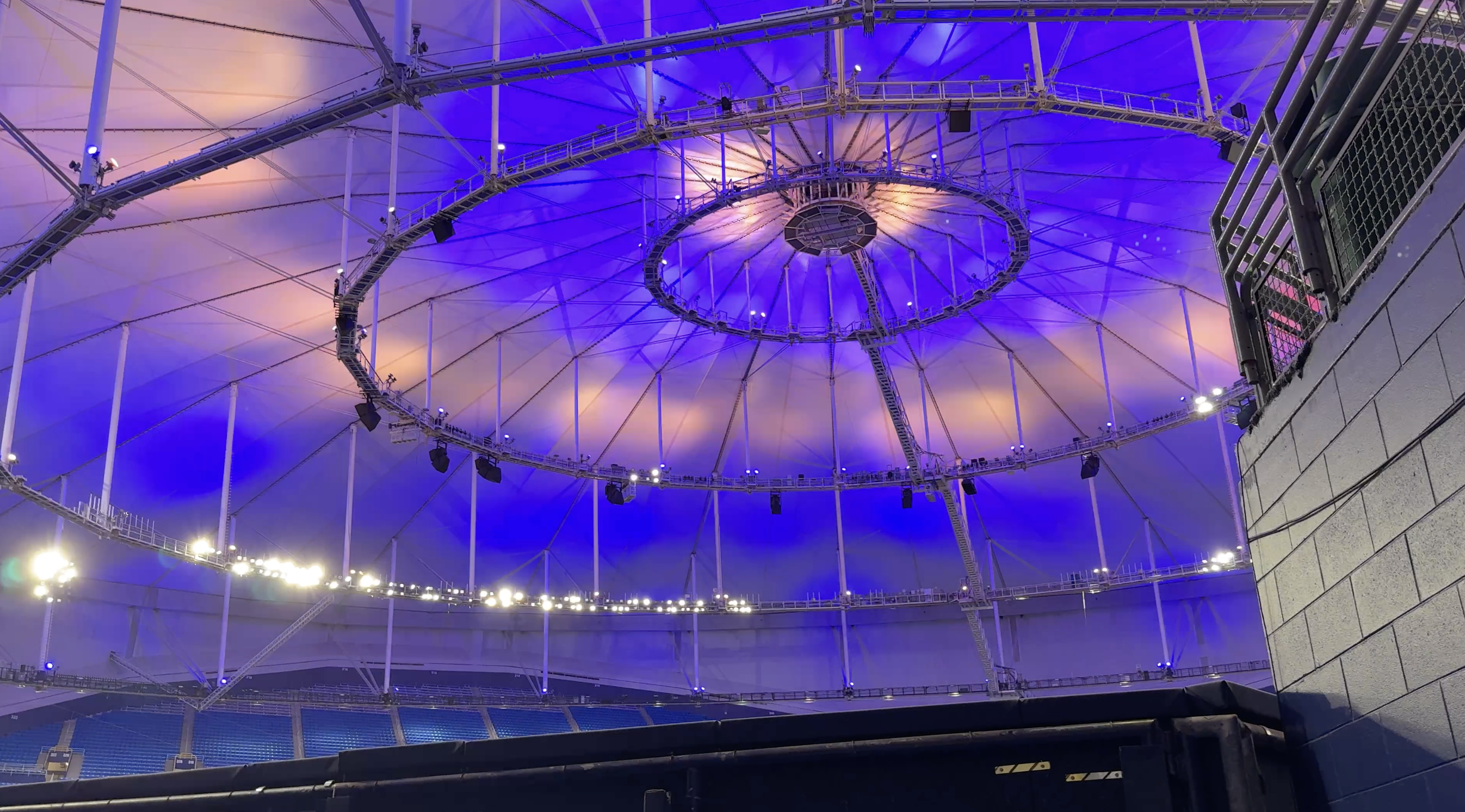 Rays fans celebrate as Tampa Bay sweeps Yankees, advances to ALCS — WFTS ABC Action News Tampa, Riverview Sports news