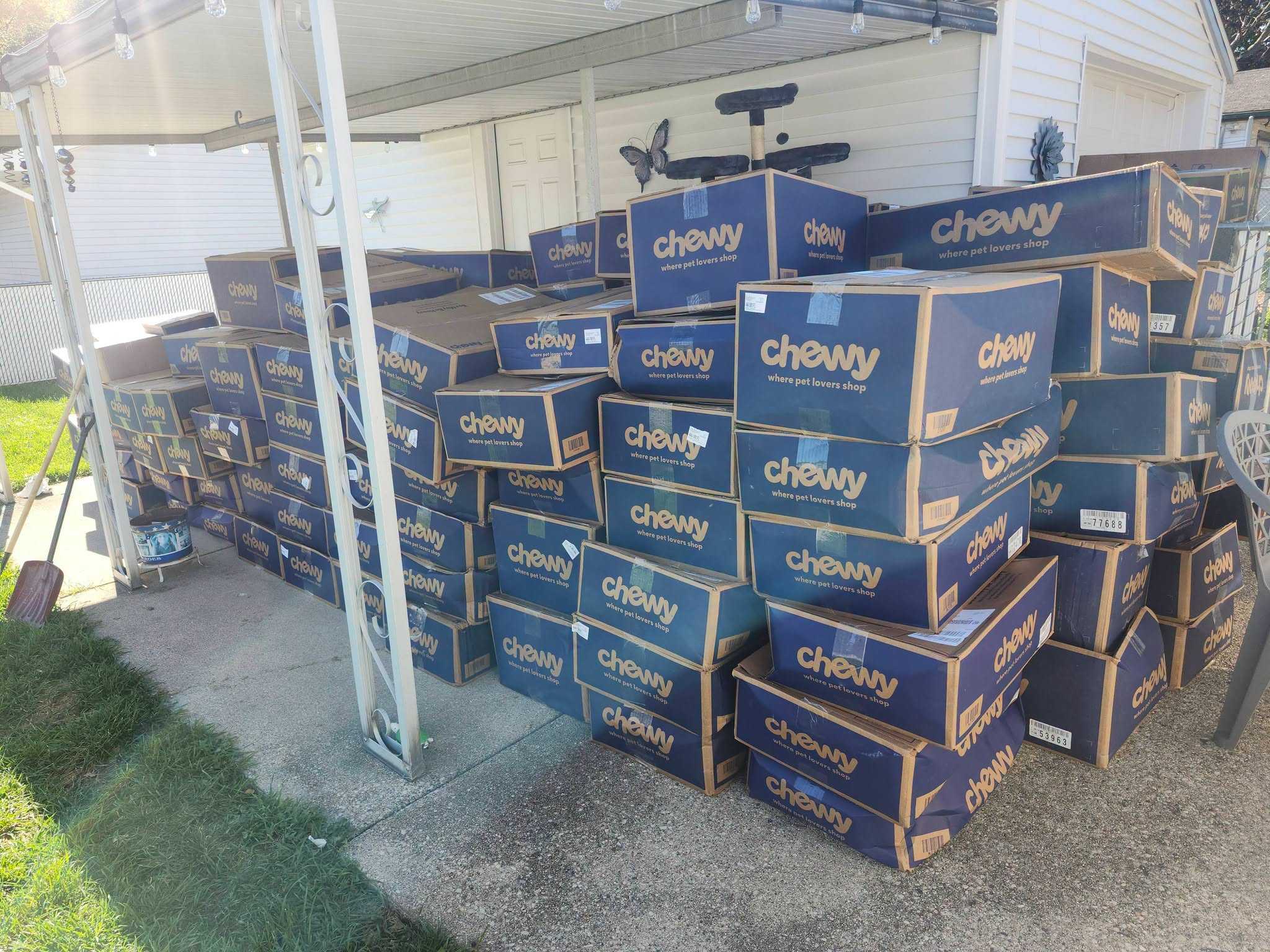 Chained Dogs MKE gets 400 boxes of donations after WISN 12 story — WISN 12 Milwaukee