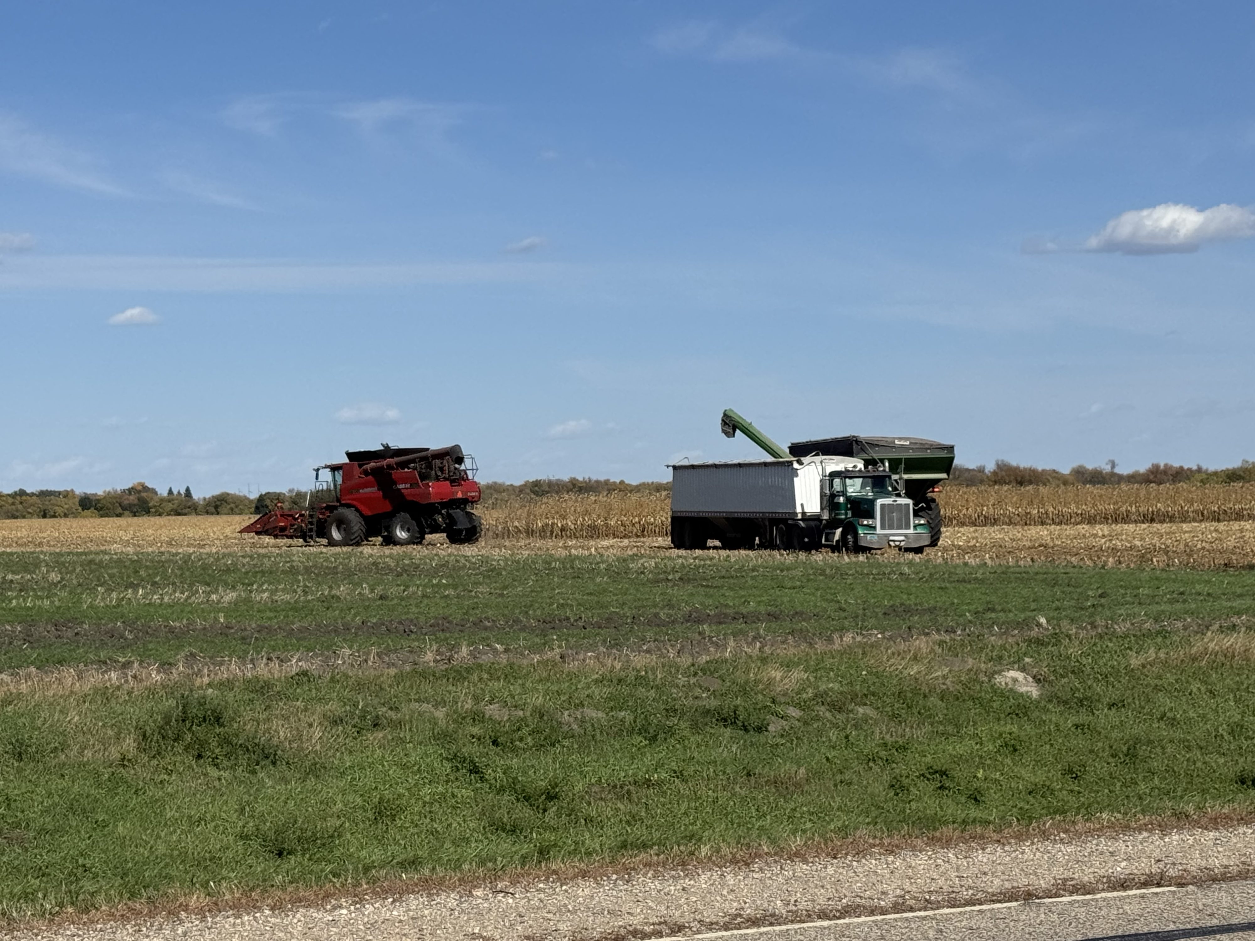 USDA announces record 2025 crop year safety net program payments — KFGO, Riverview Community news