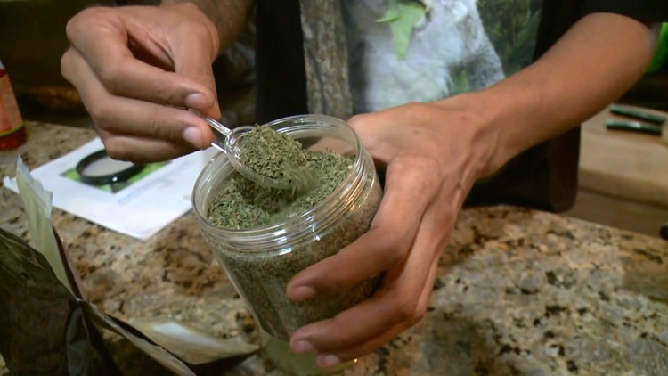 Hillsborough County considers restrictions on kratom products as families describe losing loved ones — WTSP 10 Tampa Bay, Riverview Government news