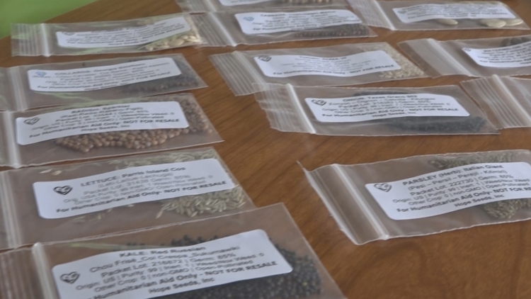 Bradenton nonprofit sends seeds to aid Jamaican families' recovery from Hurricane Melissa — Riverview Community news