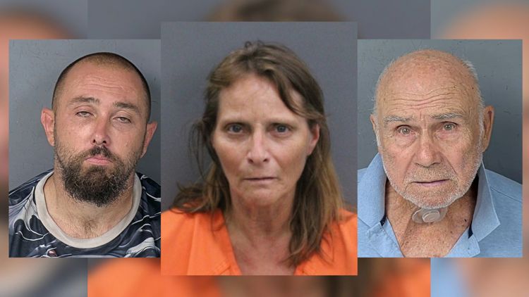 Former Hillsborough County teacher among 3 arrested in narcotics investigation — WTSP 10 Tampa Bay