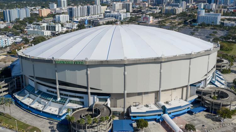 Rays to host ALCS watch parties at Tropicana Field — WTSP Sports Tampa Bay, Riverview Sports news
