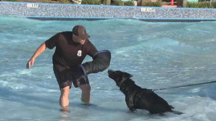 Tampa police K-9s train at theme park to prepare for emergencies — WTSP 10 Tampa Bay, Riverview Community news
