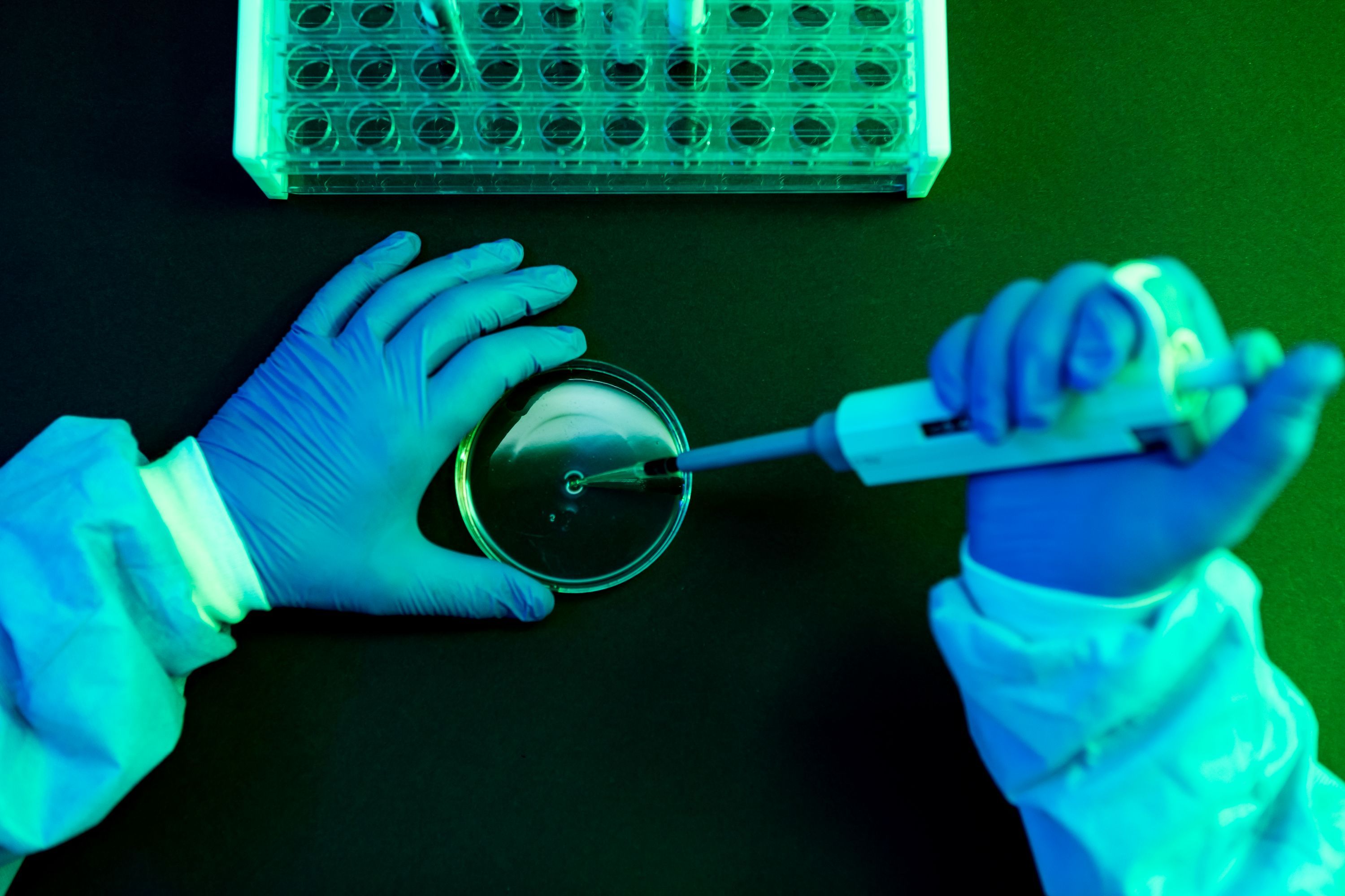 What to Know About Shamonda Virus Following the First Reported Human Infection — Wired, Riverview Technology news