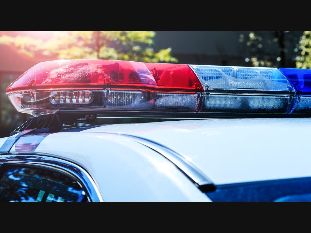 Scooter-Riding Thief Swipes Shipment Of Up To 100 Wigs From Fremont Business: Police — Piedmont Patch