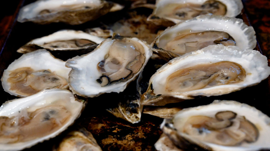 Sewage leak temporarily halts Tomales Bay oyster harvest — KTVU FOX 2 Bay Area