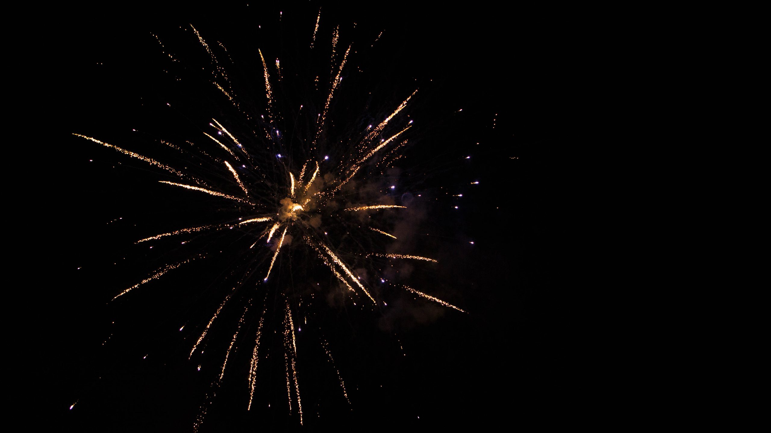 More than 130K fireworks recalled over explosion risk — FOX 13 Tampa Bay News