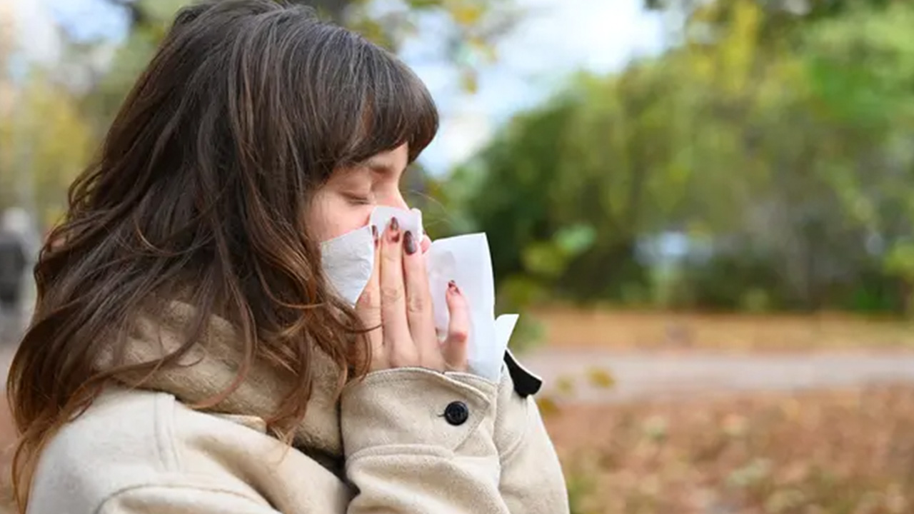 Fall allergies or a cold? Here’s how to tell what’s making you miserable — FOX 13 Tampa Bay News